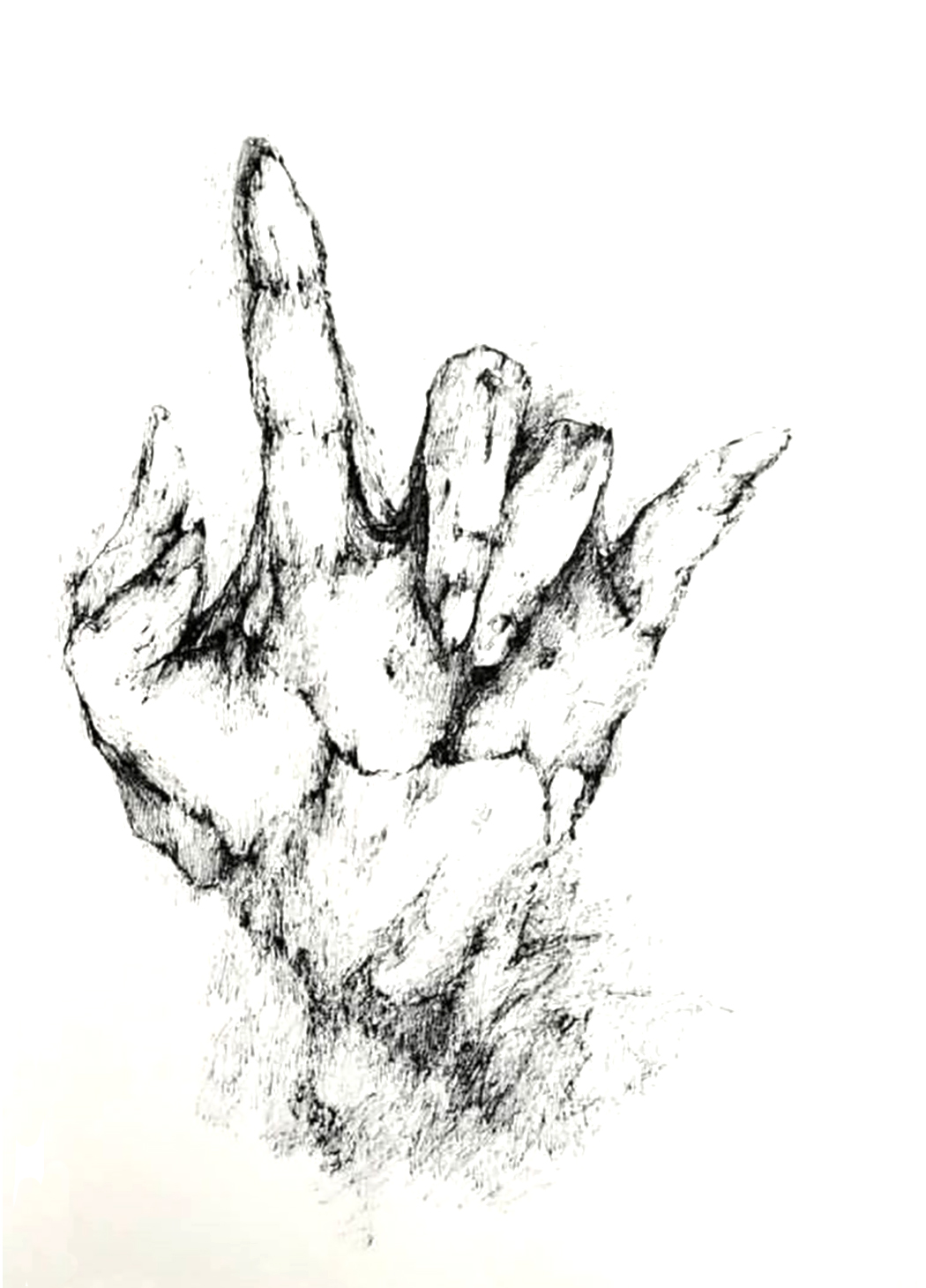 For Beeing, pen on paper, an open hand with a raised finger emerging from loose marks