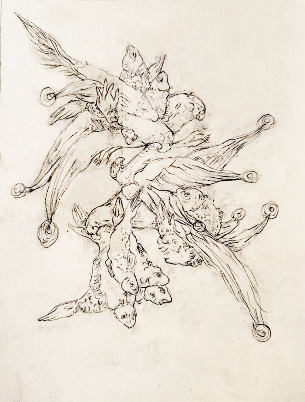 The Playing Tails of Fish, a pencil drawing of parrots and fish embracing one another, their tails curling outward