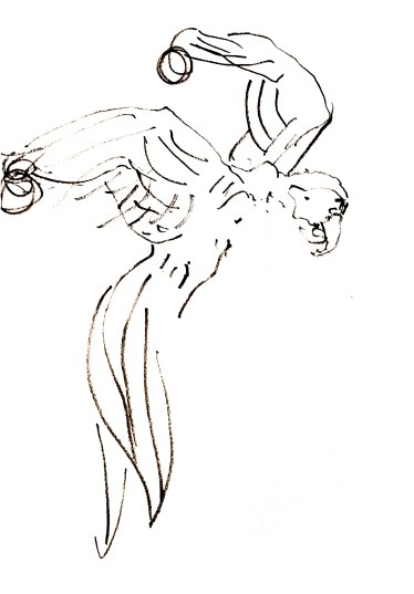 Line drawing of a parrot with long trailing tail feathers