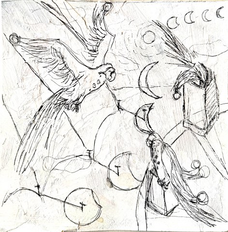 Line study of parrots in flight among circular forms